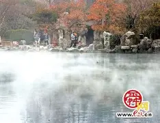 独家：Karsa势不可挡(卡萨直播间karsa直播)|VG棋牌体育APP